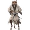 Teenage Mutant Ninja Turtles (1990) - Splinter 7” Action Figure