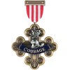 Wizard of Oz - Courage Medal Limited Edition Replica