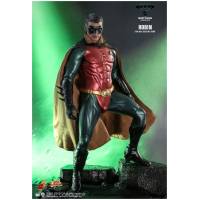 Batman Forever - Robin 1:6 Scale 12" Action Figure